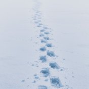 Bild: Eberhard Grossgasteiger – Unsplash