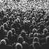 Sponsored Post
 - So finden Advertiser ihre Audience auch morgen noch
