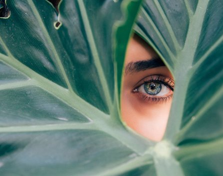 Bild: Drew Dizzy Graham – Unsplash