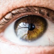 Bild: Vanessa Bumbeers - Unsplash