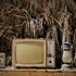 Bild: Adriel Sand – Unsplash