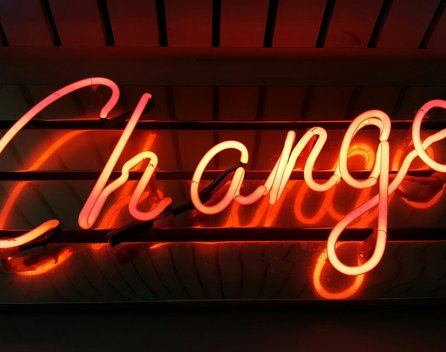 Bild: Ross Findon - Unsplash