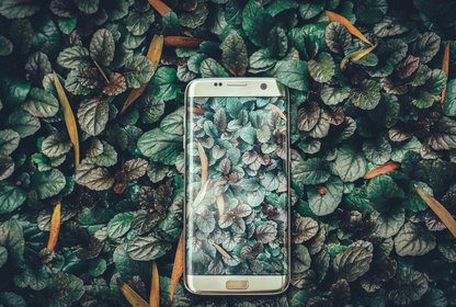 Bild: Ravi Kumar – Unsplash