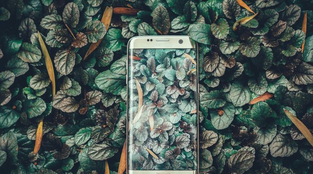 Bild: Ravi Kumar – Unsplash