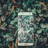 Bild: Ravi Kumar – Unsplash