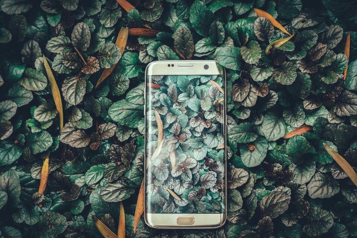 Bild: Ravi Kumar – Unsplash Bild: Ravi Kumar – Unsplash