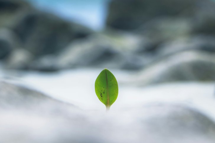 Bild: Pinakeen Bhatt – Unsplash Bild: Pinakeen Bhatt – Unsplash