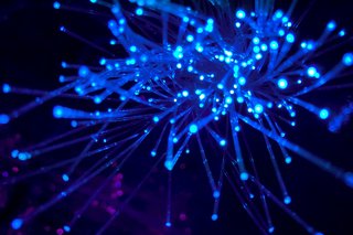 Bild: JJ Ying - Unsplash Bild: JJ Ying - Unsplash