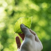 Bild: Tobias Weinhold - Unsplash
