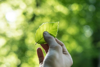 Bild: Tobias Weinhold - Unsplash Bild: Tobias Weinhold - Unsplash