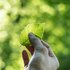 Bild: Tobias Weinhold - Unsplash