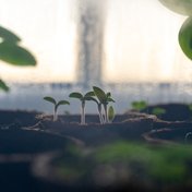 Bild: Julian Hochgesang – Unsplash