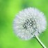 Bild: Alexander Grey – Unsplash