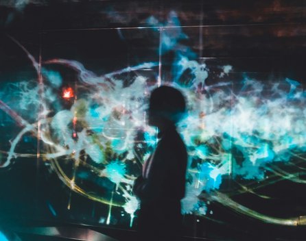 Bild: Su San Lee - Unsplash