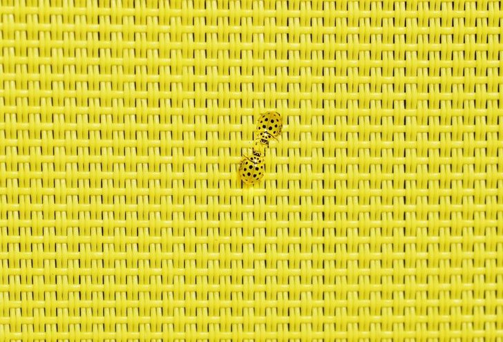 Bild: inamija - Dollarphotoclub .com; Bearbeitung: Adzine, Bild: inamija - Dollarphotoclub .com; Bearbeitung: Adzine Bild: inamija - Dollarphotoclub .com; Bearbeitung: Adzine