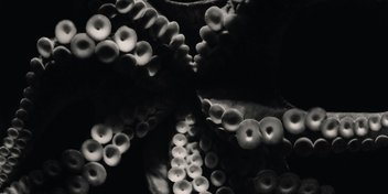 Bild: Dustin Humes - Unsplash