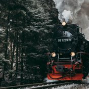 Bild: Patrik László – Unsplash