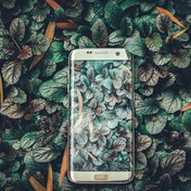 Bild: Ravi Kumar – Unsplash