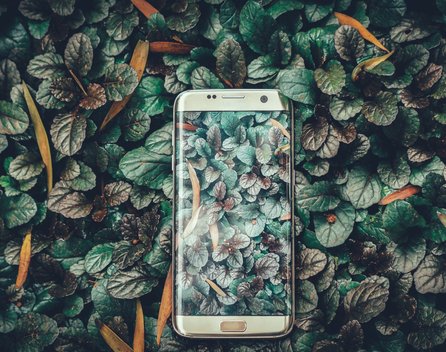 Bild: Ravi Kumar – Unsplash
