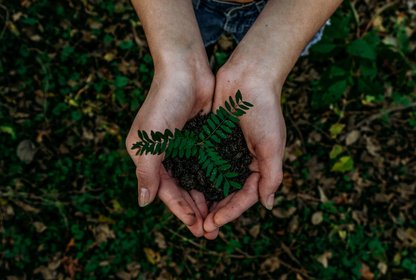 Bild: Noah Buscher – Unsplash Bild: Noah Buscher – Unsplash
