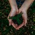 Bild: Noah Buscher – Unsplash