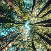 Bild: Casey Horner – Unsplash