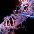 Bild: Sangharsh Lohakare – Unsplash