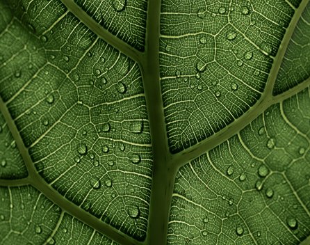 Bild: Clay Banks – Unsplash