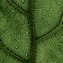 Bild: Clay Banks – Unsplash