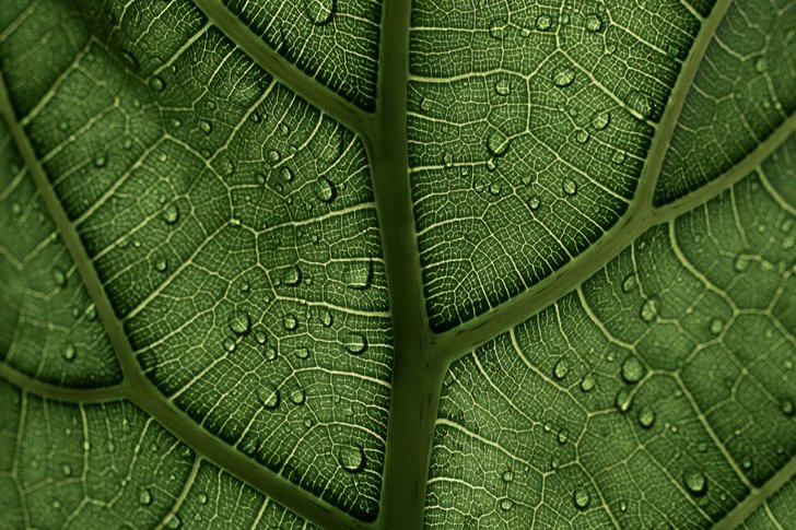 Bild: Clay Banks – Unsplash