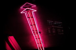 Bild: Pedro da Silva - Unsplash Bild: Pedro da Silva - Unsplash