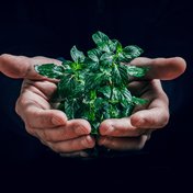 Bild: Jan Kopriva - Unsplash