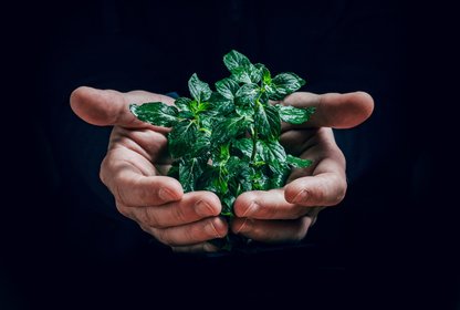 Bild: Jan Kopriva - Unsplash Bild: Jan Kopriva - Unsplash