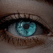 Bild: Tim Sessinghaus – Unsplash