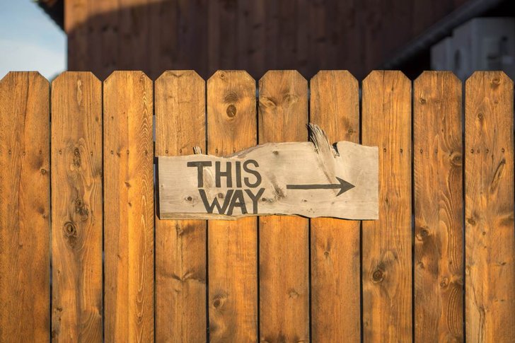 Bild: Jamie Templeton; CC0 - unsplash.com Bild: Jamie Templeton; CC0 - unsplash.com