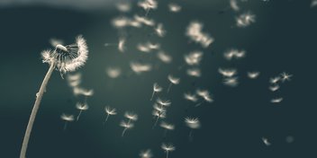 Bild: Saad Chaudhry – Unsplash