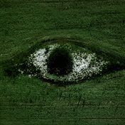 Bild: Egor Vikhrev – Unsplash
