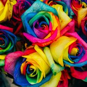 Bild: Denise Chan – Unsplash