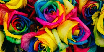 Bild: Denise Chan – Unsplash