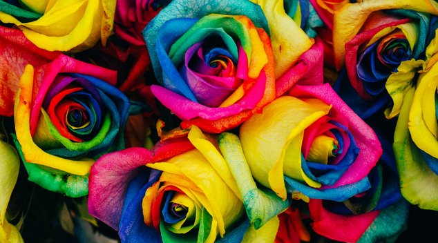 Bild: Denise Chan – Unsplash