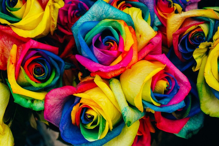 Bild: Denise Chan – Unsplash Bild: Denise Chan – Unsplash