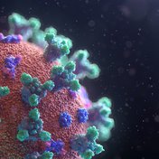 Bild: Fusion Medical Animation - Unsplash