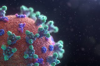 Bild: Fusion Medical Animation - Unsplash