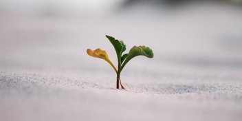 Bild: Jeremy Bishop - Unsplash