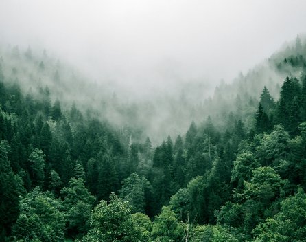 Bild: Marita Kavelashvili - Unsplash