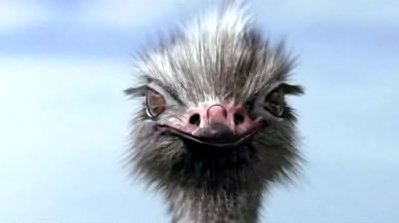 Ausschnitt aus DPD Viralspot, 260.000 Views, 120.000 Views waren vom Kunden eingekauft