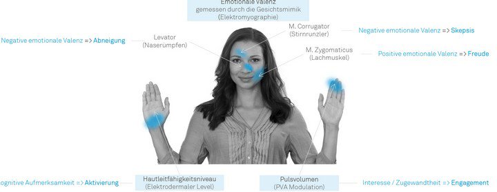 Grafik: IP-Deutschland 